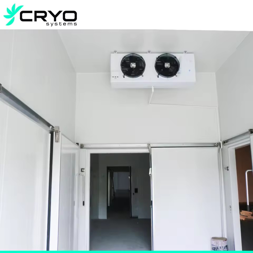 30 Square Meters Walk-in Cooling & Freezing Room with Motor & Engine New Energy Saving Low Noise Stable Temperature