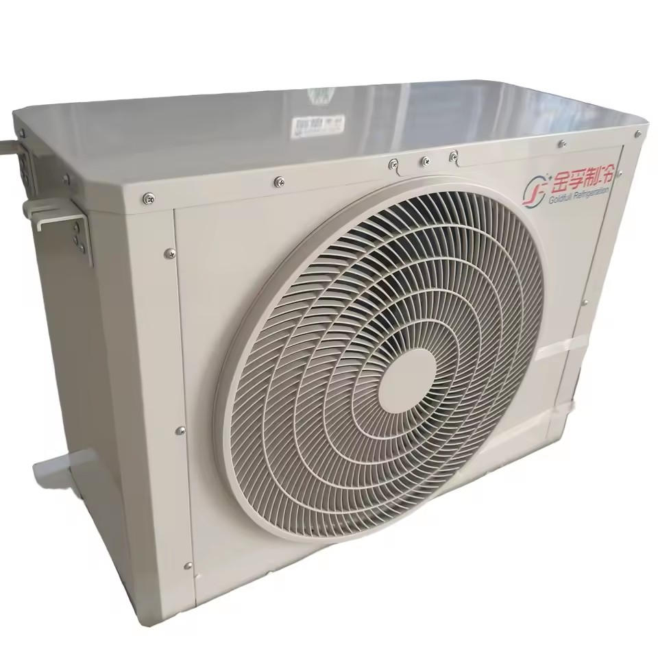 Intelligent Variable Frequency Hot Gas Defrost Unit Fast Defrosting Cold Storage Equipment
