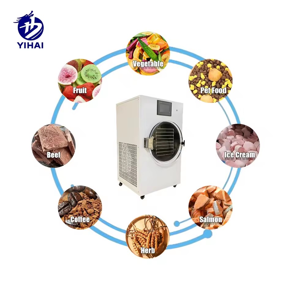 Small Vacuum Freeze Drying Machine Compact Energy Saving Unit for Strawberry Banana Mango Food Processing