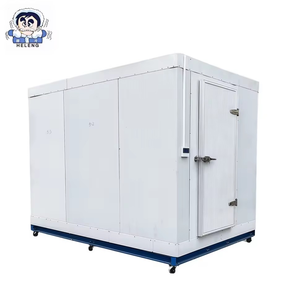 Walkin Cooler Cella Frigo Commercial Meat Chiller Refrigerator Freezer Container 20ft with Refrigerated Camera