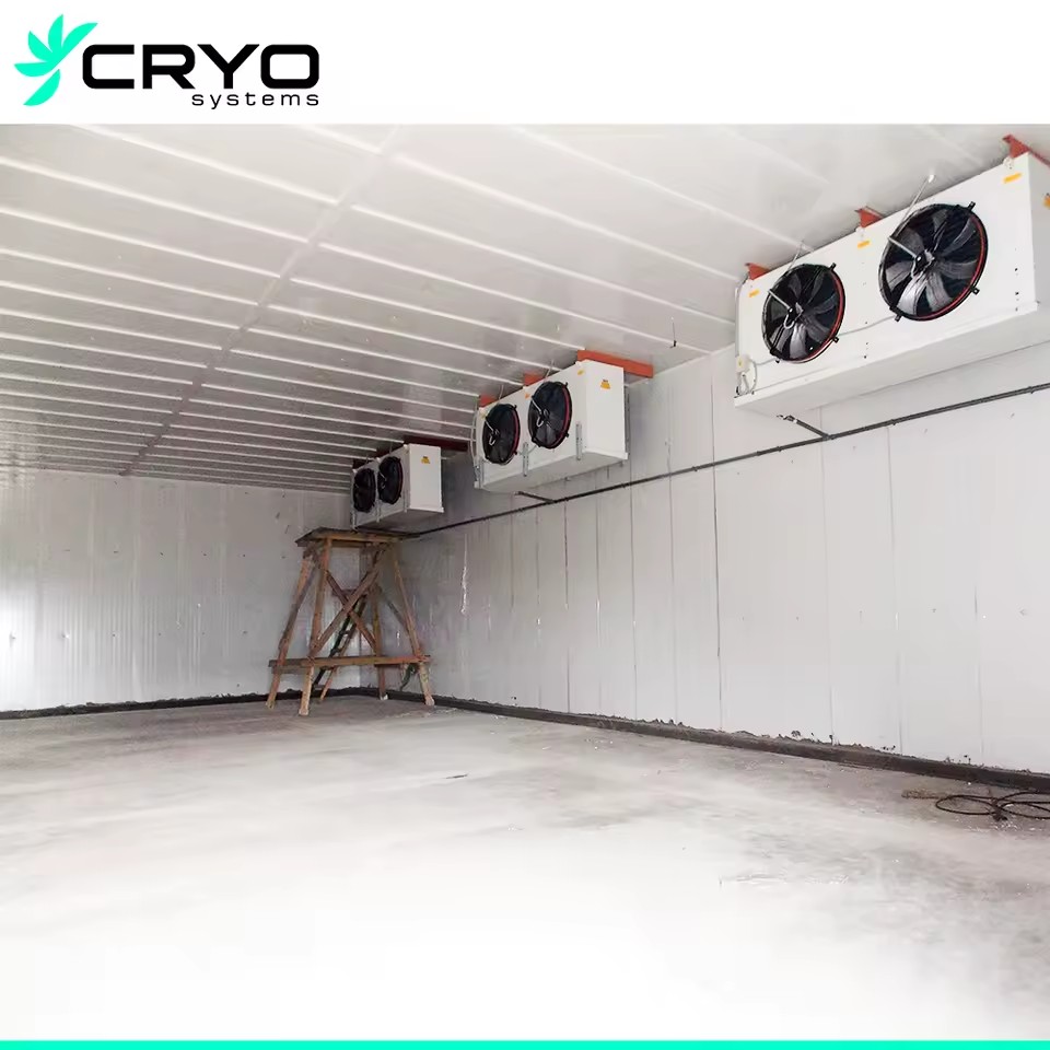 Vegetable Refrigeration Cold Room for Potato Onion Tomato with Engine & Motor-Energy Saving