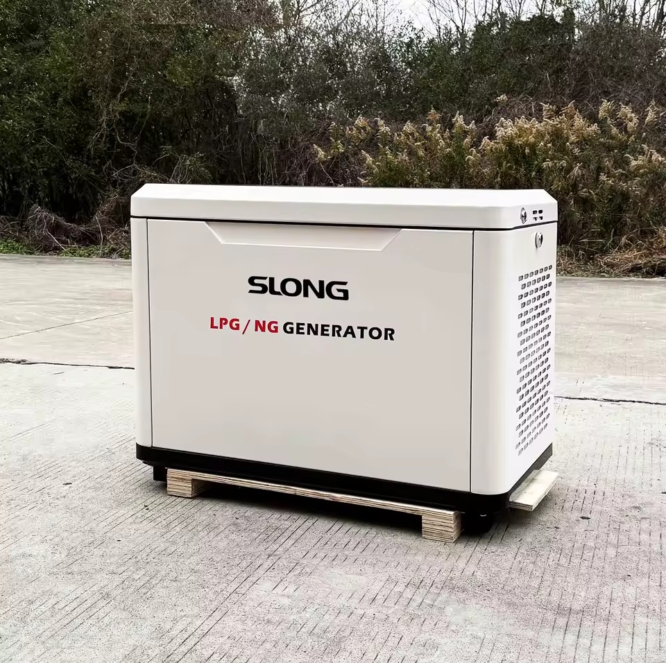 LPG Natural Gas Emergency Auto Start 12V DC Home Power Generator 5-20kw