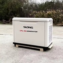 LPG Natural Gas Emergency Auto Start 12V DC Home Power Generator 5-20kw