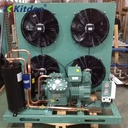 10HP Refrigerator Heat Exchange Equipment Unidade De Condensacao Cooler Cold Storage Freezer Bitzer Condensing Unit