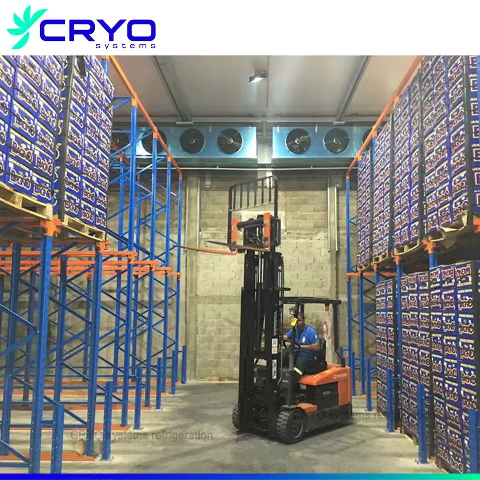 Fruit Banana Mango Ripening Cold Storage Room with Engine Motor Pump Eco-Friendly Energy Saving