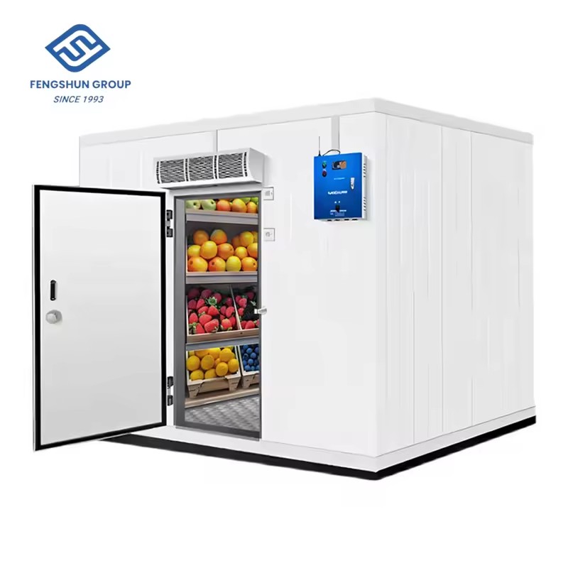 Cold Room Storage From 10m3 to 1000m3 Commercial Restaurant Freezer Room Refrigeration Equipment with Solar NSF Certificates