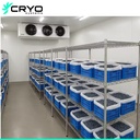 Fruit Vegetable Preservation Controlled Atmosphere Cold Room with Engine Motor Pump-Eco-Friendly Energy Saving Storage System