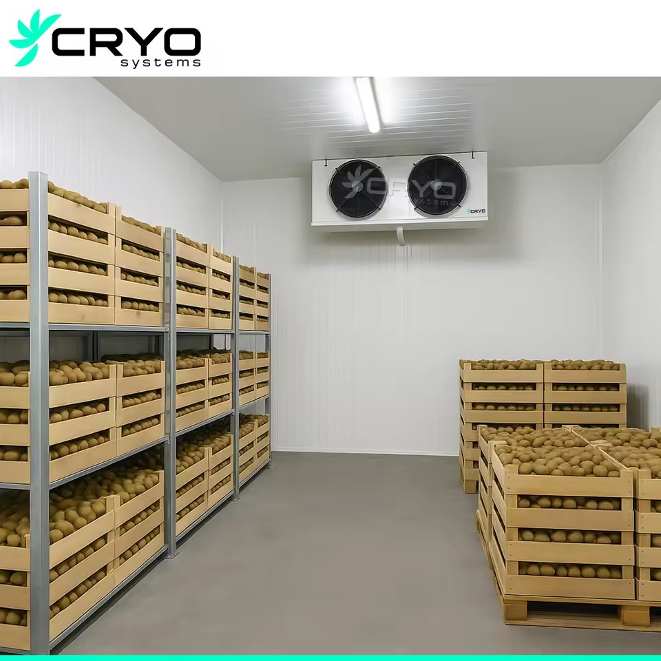 Ultra-long Fresh Storage Automatic Controlled Atmosphere Cold Rooms with Energy Saving Remote Control Solutions