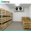 Ultra-long Fresh Storage Automatic Controlled Atmosphere Cold Rooms with Energy Saving Remote Control Solutions