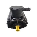 High Efficiency 75KW AC Motor 3-Phase for HVAC Systems and Power Equipment 50Hz Frequency for Industrial Applications