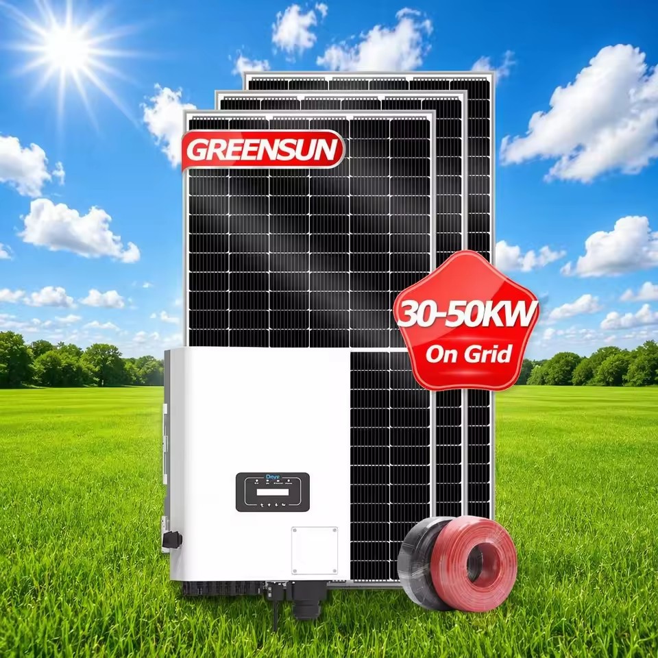Selling Electricity on Grid Solar System 30kw Solar Energy System on Grid