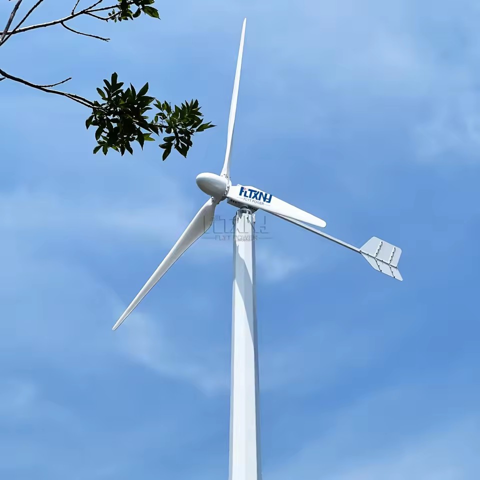 5kw 1kw 3kw 10kw 20kw 50kw 220v 380v Industrial Wind Electricity Generator Horizontal Windmill Windmolen Turbine Generators