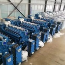 1MW 2MW Cogeneration Device Gas Genset