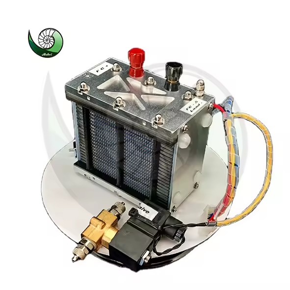 Rubri 100W 200W 500W 1KW 2KW 5KW Hydrogen Powered Electricity Generator PEM Fuel