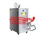 Vertical Low Pressure Stainless Steel 6KW 9KW 12KW Mini Electric Steam Generator Steam Boiler for Textile Industry