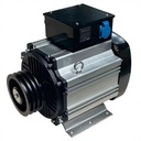 High-efficiency Energy-saving Permanent Magnet Generator EDS-5 5KW Single-phase 220V 50HZ/1500rpm Recoil/Remote Start Housing
