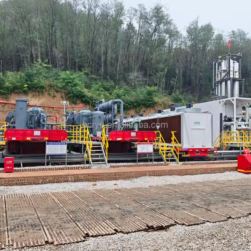 Customized PLC & Engine Gas Generation Equipment for Professional Applications with High Productivity LNG/LPG/CNG