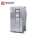 Future Mini Electric Steam Generator 54KW LDR 0.75-0.7 Vertical Style Automatic Low Pressure Industrial Food Milk Processing