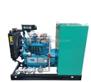 150kva Electric Natural Gas & Biomass Gas Power Generator with Auto Start Remote Start ISO/CE Certified 4-Year Warranty