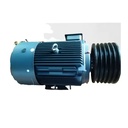AC Motor Used in Jaw Crusher,impact,hammer,plfc,cone, Vibrating Screen, Sand Washer, Feeder