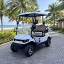 Multi-function Electric Golf Cart Sand Bucket Ball Washer Insulated Box Rainproof Curtain 30km Range for Golf Courses