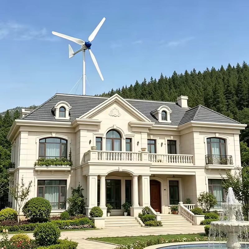 OEM 1000W 24V 48V 3/5 Blades 1kW Solar Wind Turbine Generator with Controller Horizontal Wind Turbine for Farm/Home
