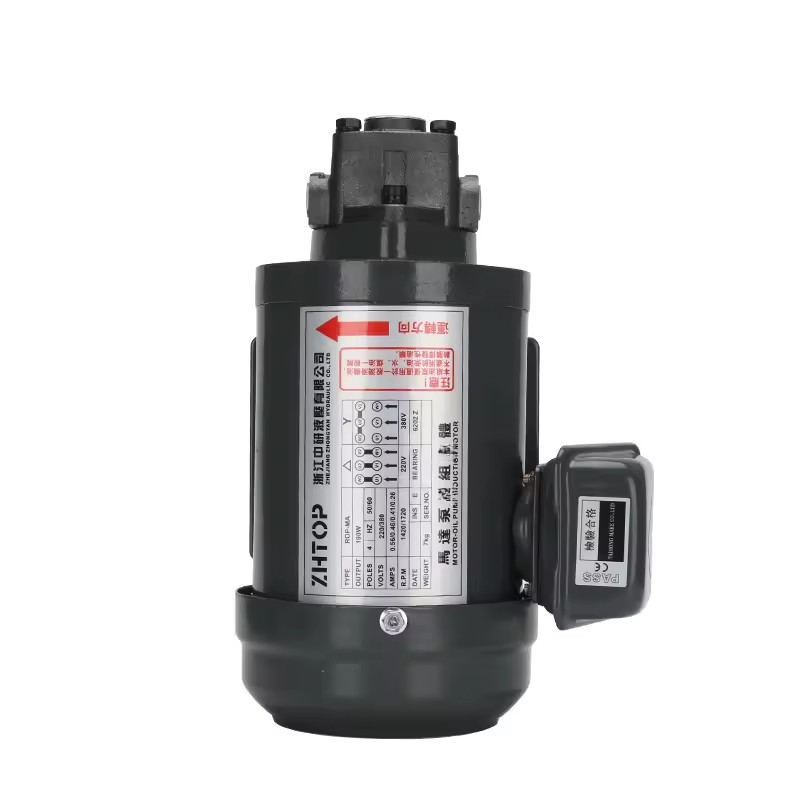 TOP-10A High Suction Electric Oil Gear Pump 380V Adjustable Direct Plug Cycloid Pump Triangle Lubrication Top 10 Fittings Type