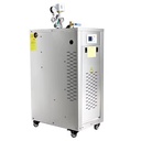 Electrical Low Pressure Industrial Vertical Steam Boiler 18-48kW Steam Generator Machine Stainless Steel Energy Saving