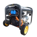 Feeser Air-Cooled Liquid Gas LPG Power Generator P-HY3-OM/LPG Recoil Start AC Single Phase 50Hz 220cm Displacement Synchronous