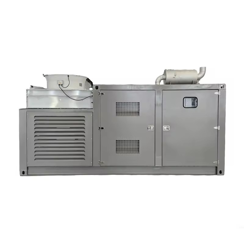 30KW Syngas Biomass Gas Natural Gas Biogas Oilfield Gas High-Power Gas Generator Set Electric Start Water Cooling 380V