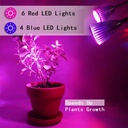 Aluminum Snake Tube LED Double-Headed High Efficiency Plant Growth Lamp 10W Universal Voltage Fleshy Plant Fill Light Hose Lamp