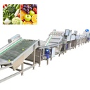 Industrial Multifunctional Vegetable & Fruit Washer for Fresh Cut Corn Energy Saving Food Grade