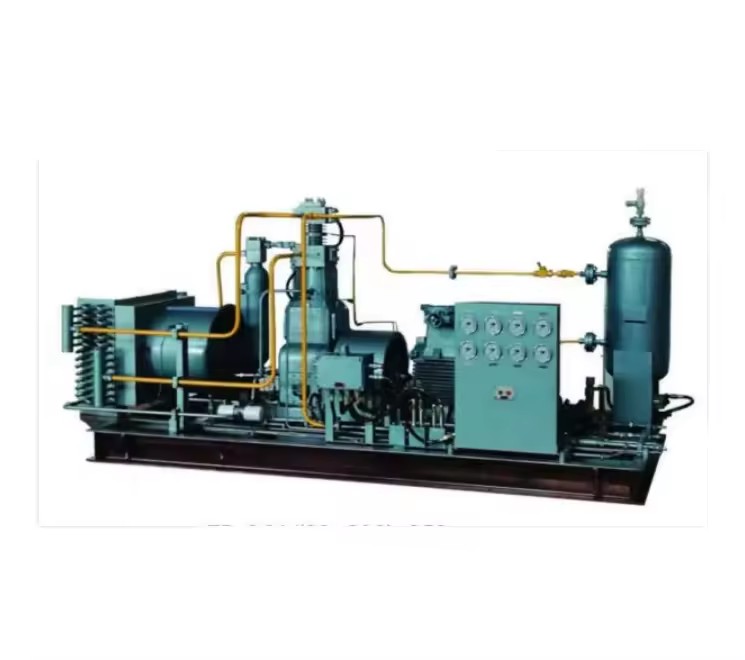 High Quality LPG Compressor Biogas Petroleum Special Gas Compressor
