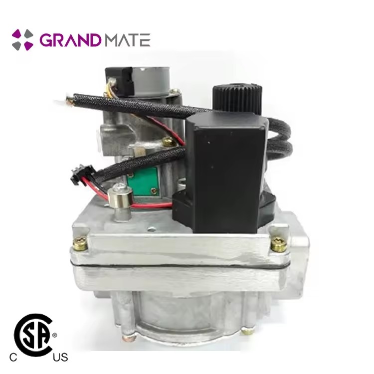 Temperature Natural Pressure Reducing Gas Control Valve