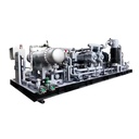 High Performance Industrial CNG PH3 Diaphragm Special Gas Compressor for Gas Filling Station