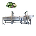 Industrial Multifunctional Fruit Vegetable Washer Food Grade Stainless Steel for Corn Vegetable Processing Plants High