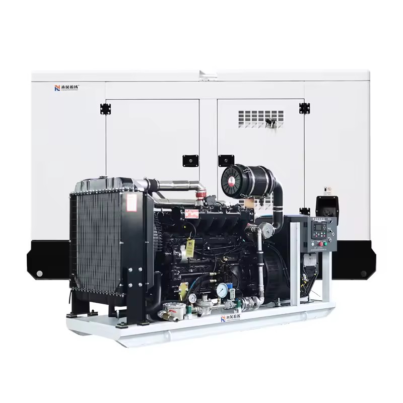 Bio Gas Engine Generation Equipment Lpg Natural Gas Turbine Generators Set 62.5 Kva 50 kW Natural Gas Generator Set for Home