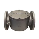 Thread Flanged Gas Filter DN50/65/80/100/125/150 for Industrial Steam Boiler Generator Spare Parts