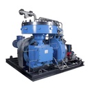 Piston Biogas Compressor Biogas Bottling Machine Methane Compression Machine