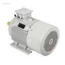 Energy-Saving 22 kW IE3 Efficiency Cast Iron Three-Phase Induction Motor for Industrial Machinery Equipment (208230/240 V