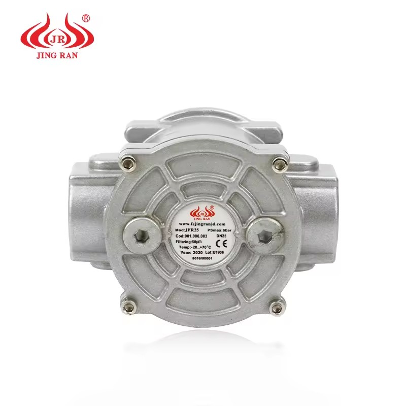 Industrial Gas Filter, Natural Gas LPG Pipeline Filter for Gas Burner, Combustion System Accessories