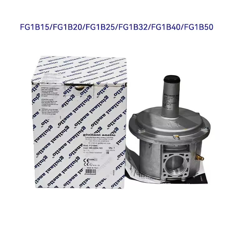 Natural Gas Pressure Regulator FG1B20 FG1B25 FG1B32 FG1B40 1bar DN15-DN50 for Industrial Burner Heating System