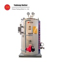 Industrial Steam Generator Small Quick Installation Steam Supply Device for Fully Automatic Vertical Fuel Gas Steam Generator
