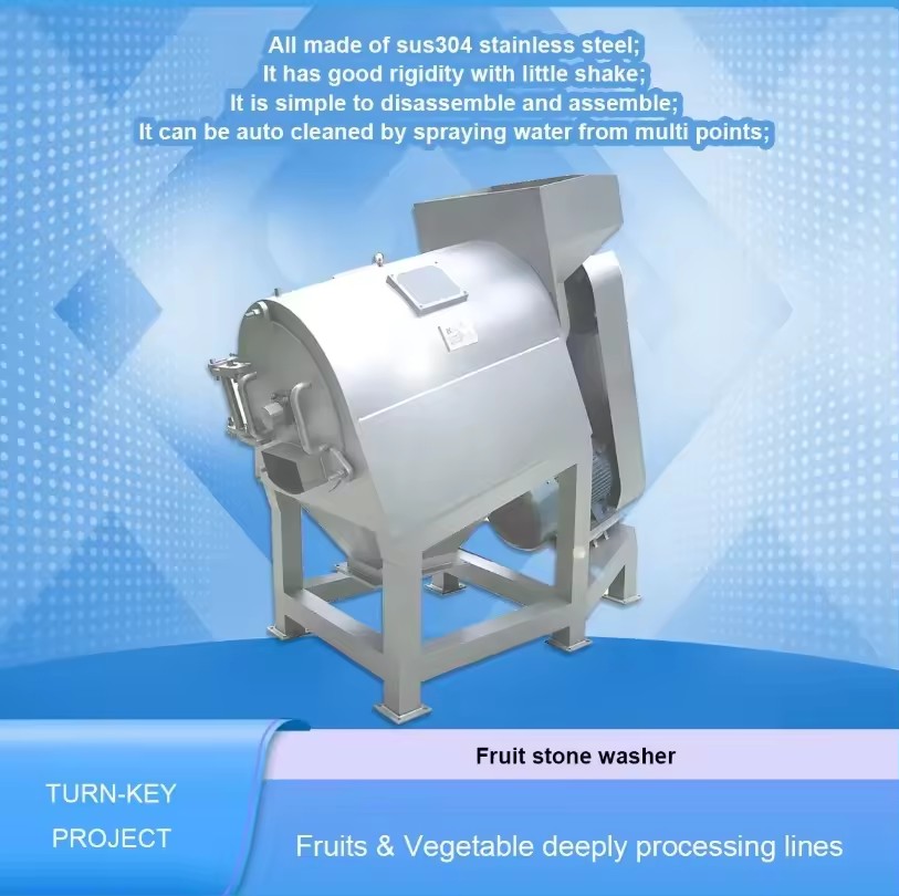 Commercial Fruit Pit Washing Machine for Peach Apricot Stone Cleaning
