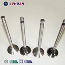 Diesel/gas Generator Set Spare Parts, Intake/exhaust Valve