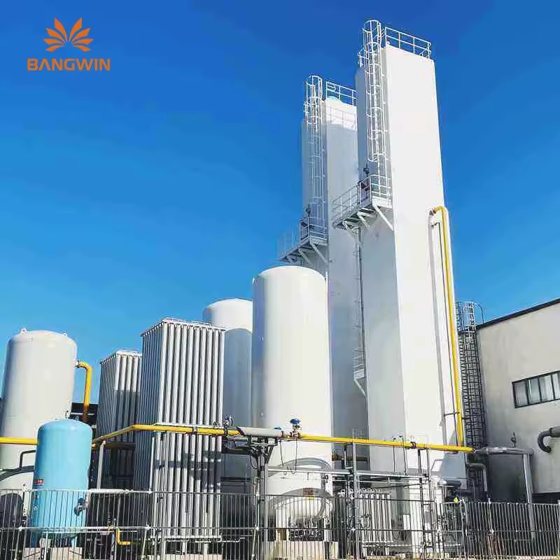BW BW Factory Wholesale Cryogenic Nitrogen and Oxygen Gas Generation Equipment Manufacturing Plant