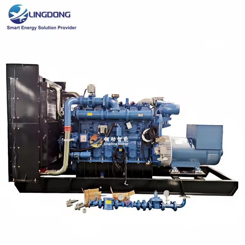 CCHP 400kW Biogas Containerised Generators Set Silent Power 500kVA Brushless Alternator Yuchai YC6C750N-D30 for Food Factory