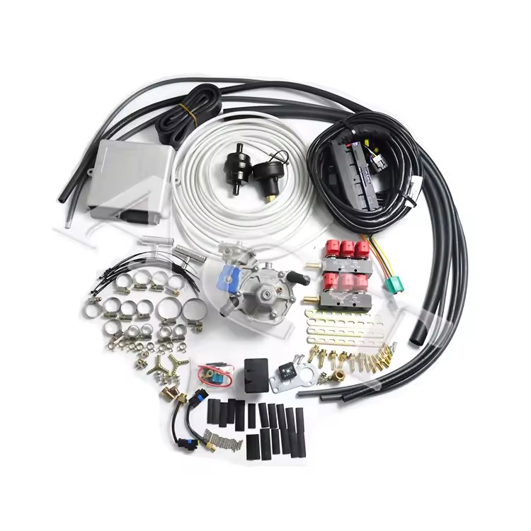 ACT LPG 6 Cyl Completed Kits Sequential Injection System Parts Petrol Engine Cylinder Autogas System