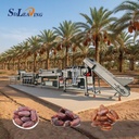 Palm Dates Processing Line Washing Selecting Line Machine Factory Price