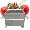JUYOU Commercial Bubbling Vibration Vegetable Washing Machine Single Tank Ozone Lemon Fruit Leaf Vegetable Washer